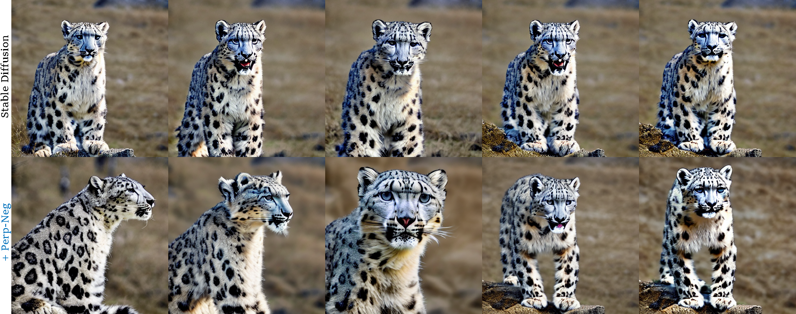 2d-view-interpolation-leopard.