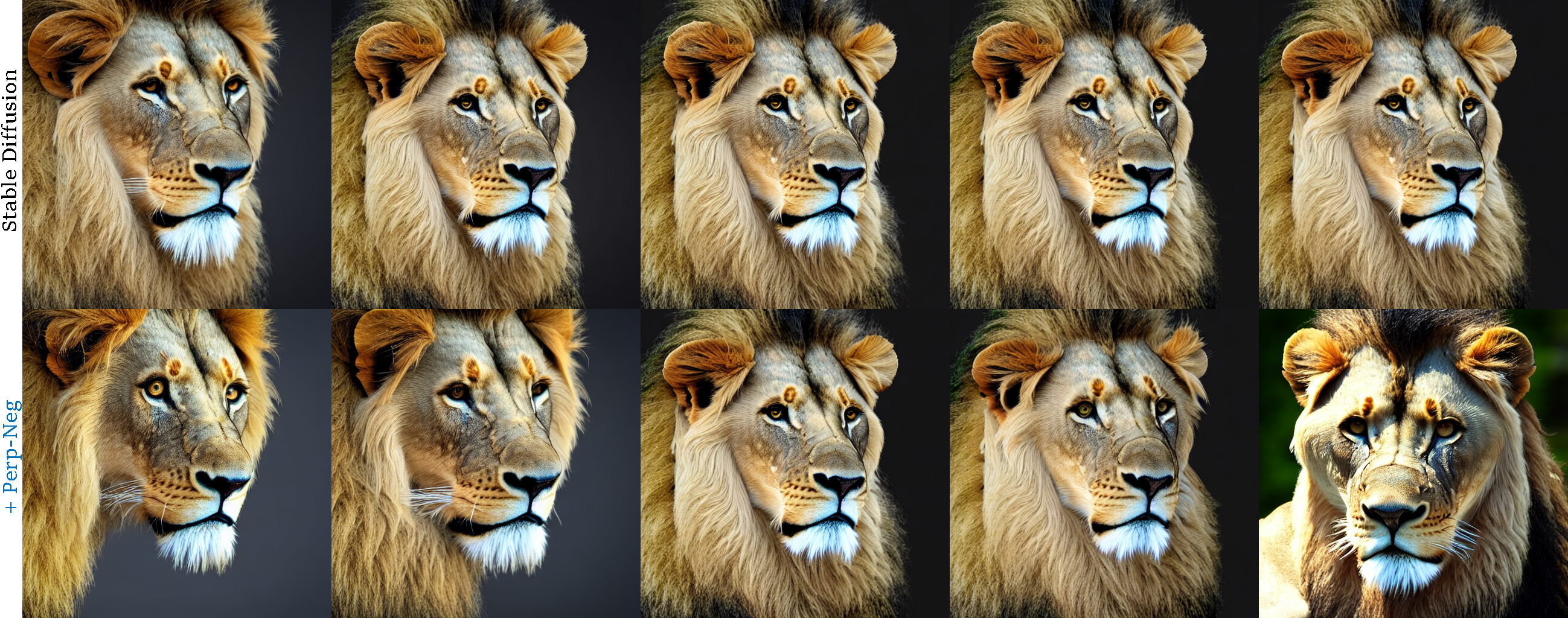 2d-view-interpolation-lion.